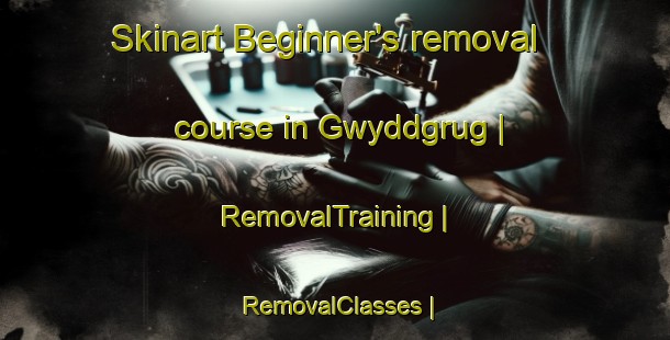 Skinart Beginner's removal course in Gwyddgrug | RemovalTraining | RemovalClasses | SkinartTraining-United Kingdom
